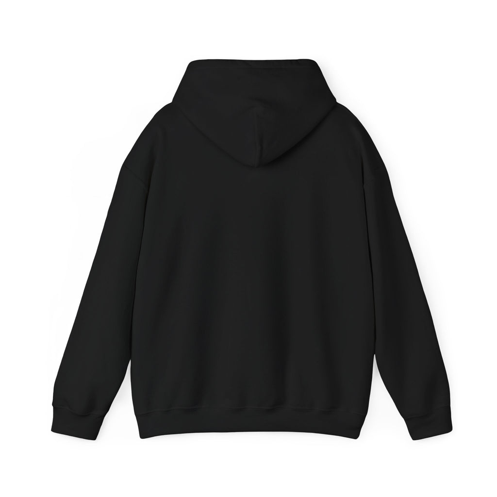 Drop Shot Assassin — Hoodie